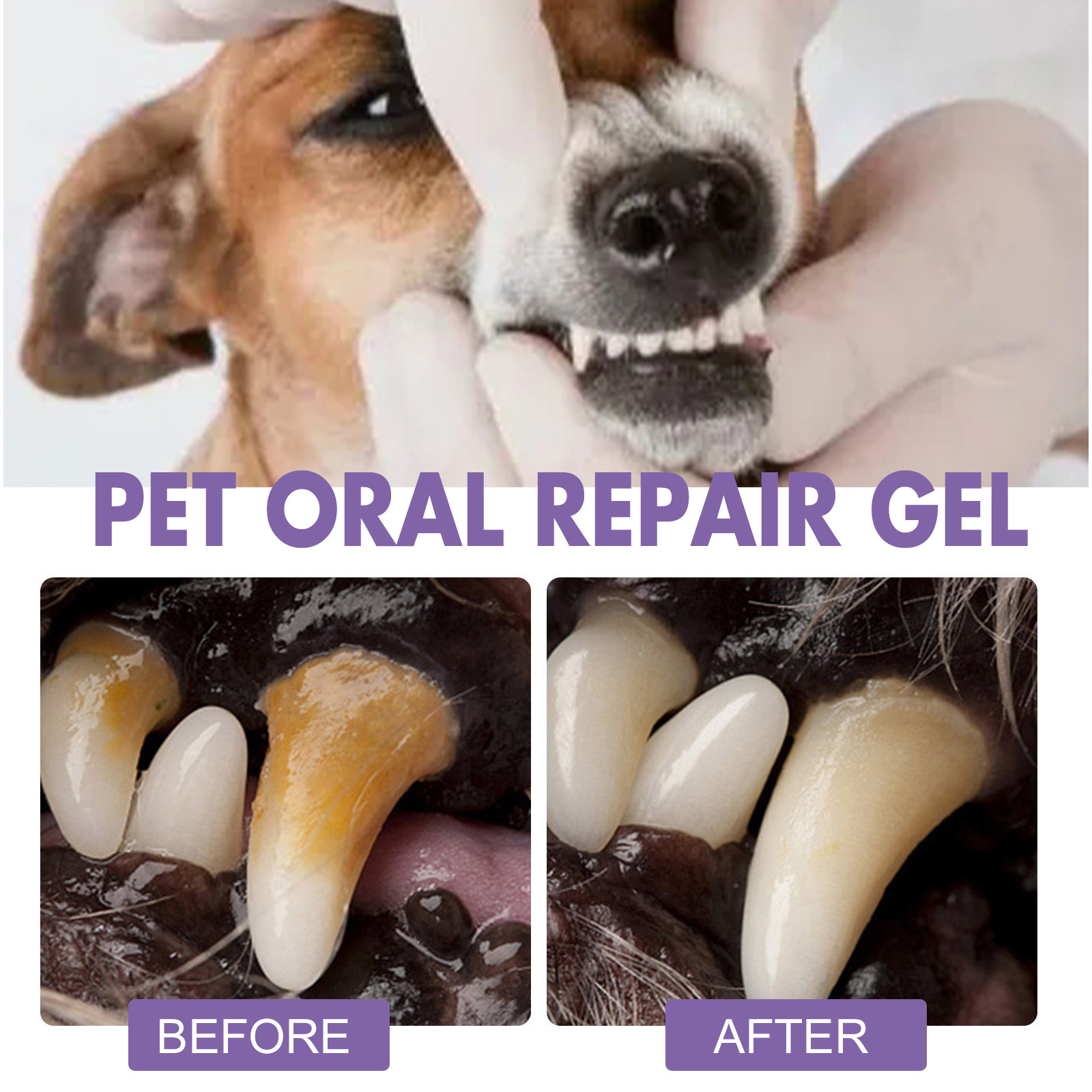 Pet Oral Repair Gel Puppy Tart - Teeth Whitening Gel Peroxide ulasan dan harga