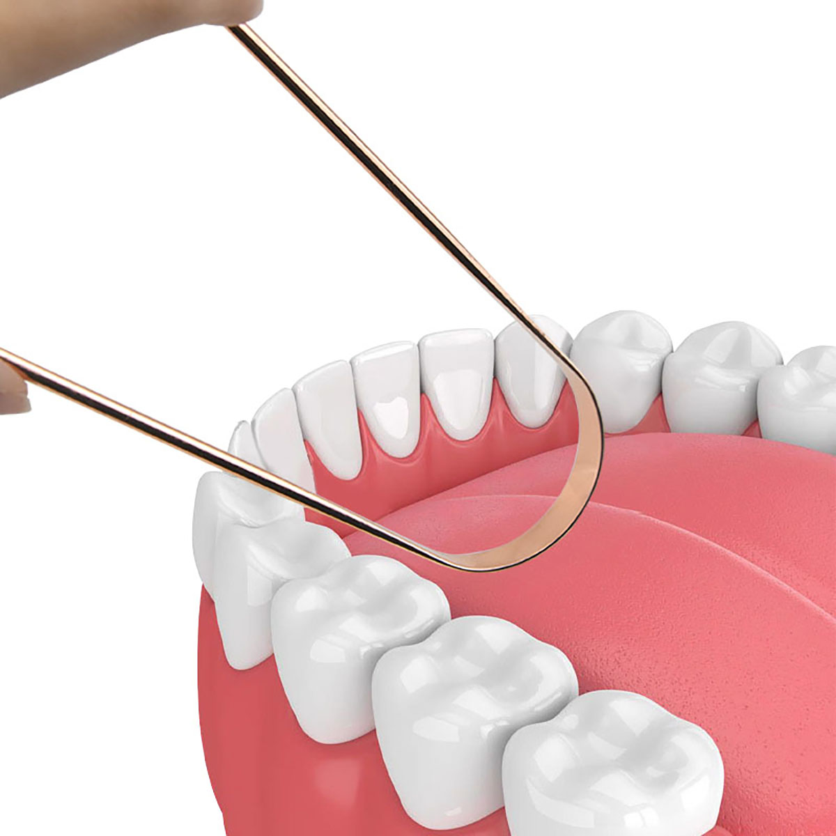 Reusable Metal Tongue Scraper  - Tongue Scraper Metal ulasan dan harga